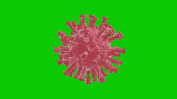 コロナウイルス（COVID-19）医学アニメーション。4K上の緑の画面上のウイルスの現実的なアニメーション - 映像、動画