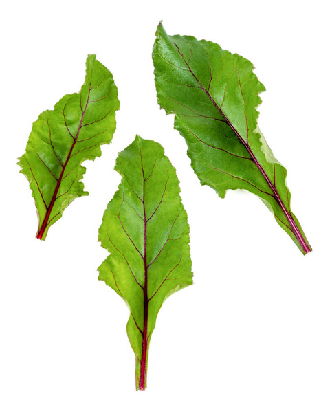 Új betakarítás Red Veined Répa levelek izolált fehér alapon - Fotó, kép