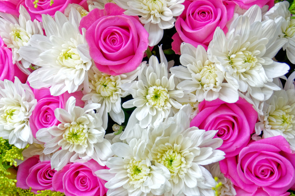 rosas de color violeta y crisantemos blancos vista superior de cerca, imagen filtrada como fondo natural - Foto, Imagen