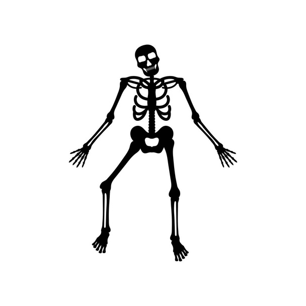 Διανυσματικό πρότυπο σχεδίασης εικονιδίων σκελετού απομονωμένο - Διάνυσμα, εικόνα