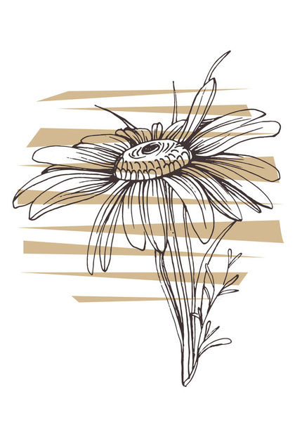 Současné umění květinové plakáty v módních barvách. Abstraktní ruční kreslení květin a geometrické prvky a tahy, listy a květiny.  - Vektor, obrázek