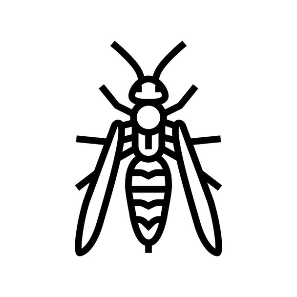 Wespe Insekt Linie Symbol Vektor Illustration - Vektor, Bild