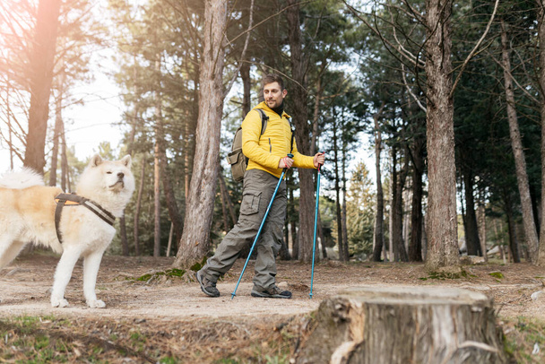 man trekking with his akita inu dog, in the forest, at sunset - Photo, Image