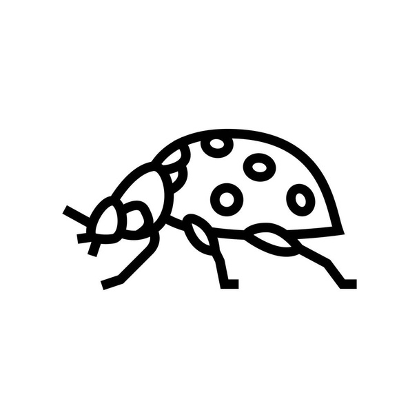 lieveheersbeestje insect lijn pictogram vector illustratie - Vector, afbeelding