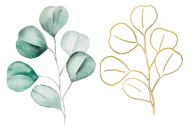 Green and Golden watercolor eucalyptus botanical  leaves illustration. Elegant Element for wedding design, greeting cards and crafting, place for text - Photo, Image