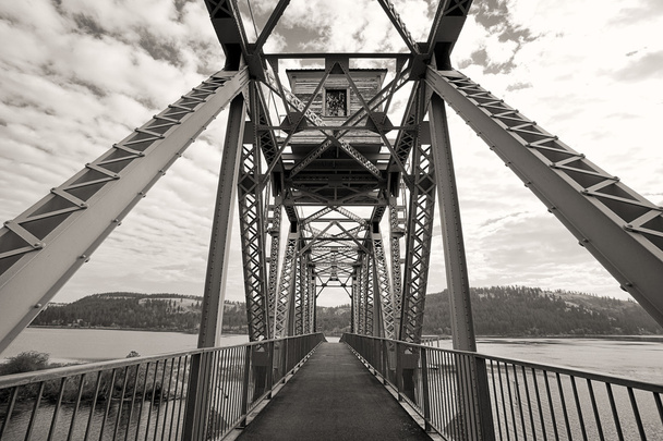 Göl üzerinde b&w bisikleti köprü. - Fotoğraf, Görsel