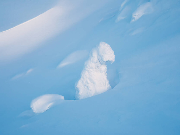 Dağ yamacında karla kaplı yalnız bir ağaç olan mavi minimalist bir arka plan. Büyülü, tuhaf ağaç silueti karla kaplanmış. Kuzey Kutbu sert doğası.  - Fotoğraf, Görsel