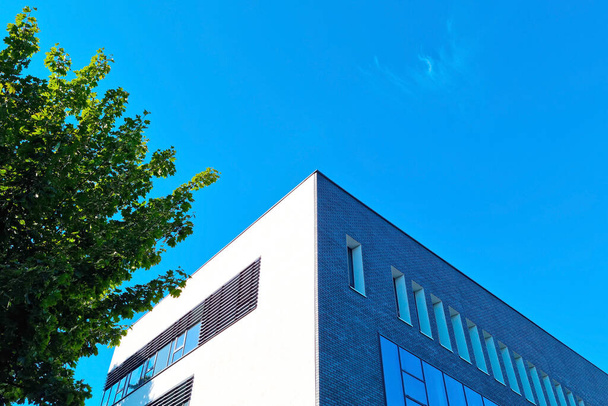 Ένα πράσινο δέντρο και ένα σύγχρονο κτίριο ενάντια σε ένα γαλάζιο ουρανό - Φωτογραφία, εικόνα