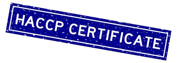 Certificat Grunge blue HACCP (Hazard Analysis Critical Control Points) mot cachet carré en caoutchouc sur fond blanc - Vecteur, image