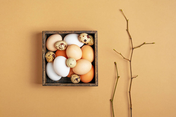 Various eggs in wooden box with tree branches on beige background. Lovely Easter flat lay in trendy colour.  - Foto, Bild