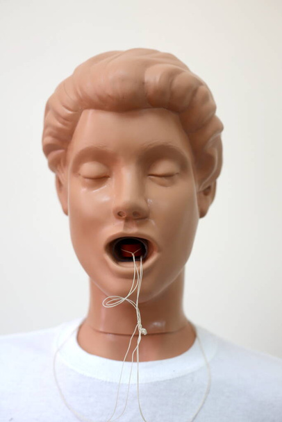dummy for practicing Heimlich manoeuvre, foreign body in airway - Photo, Image