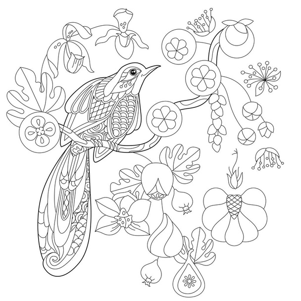 Contour linear illustration for coloring book with paradise bird in flowers. Tropic bird, anti stress picture. Line art design for adult or kids in zen-tangle style, tattoo and coloring page. - Vector, afbeelding