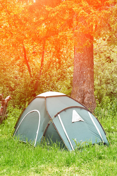 Ormandaki çadır kampı. Yerel seyahat konsepti. Sürdürülebilir yaşam tarzı. Yaz  - Fotoğraf, Görsel