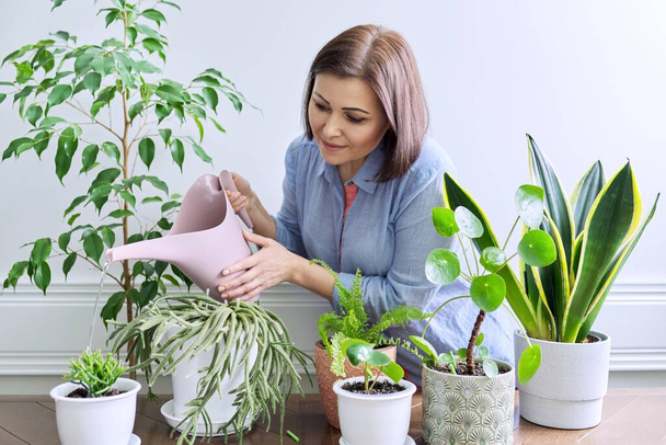 Vrouw verzorgt kamerplanten in potten, besproeit planten uit gieter - Foto, afbeelding