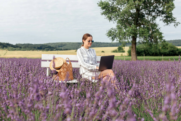 Young woman working at the computer in lavender field. - Fotoğraf, Görsel