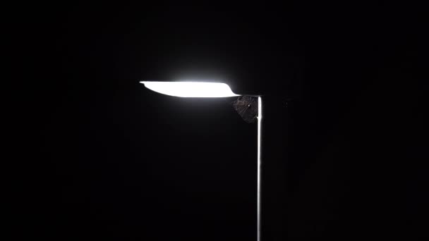 La telaraña se mueve bajo la lámpara de calle brillante por la noche - Imágenes, Vídeo
