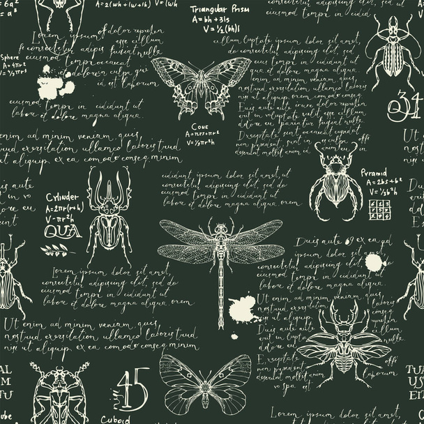 Seamless pattern with various insects and handwritten text Lorem Ipsum. Hand-drawn vector background with butterflies, beetles, dragonfly on black backdrop. Wallpaper, wrapping paper or fabric design - Вектор, зображення