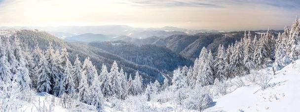 Gyönyörű téli csodaország, Fekete-erdő, Németország  - Fotó, kép