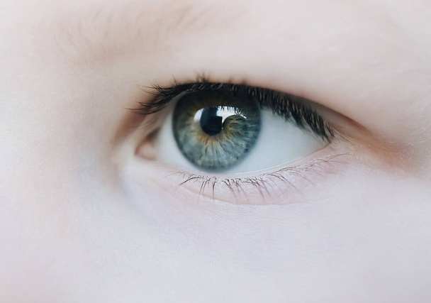 Blauw en geel oog en wimpers van kleine jongen kinder macro close-up - Foto, afbeelding