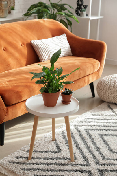 Stilvolles orangefarbenes Sofa mit Zimmerpflanzen im modernen Wohnzimmer - Foto, Bild