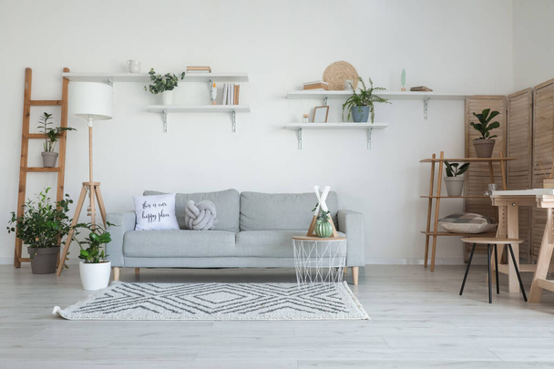 Elegante sofá gris en el interior moderno de la sala de estar - Foto, Imagen