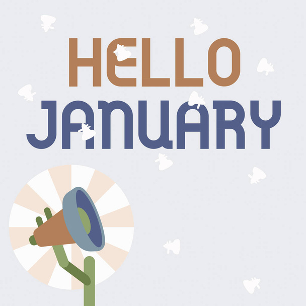 Cartello che mostra Hello January. Business vetrina un saluto o un caloroso benvenuto al primo mese dell'anno Illustrazione di Polo Megafono con sole solleva fare annunci. - Foto, immagini