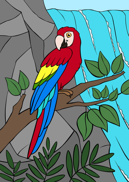 Cartoon birds. Parrot red macaw sits on the tree branch and smiles. There is waterfall here. - Διάνυσμα, εικόνα