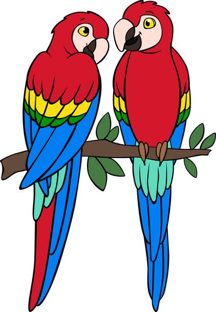Cartoon birds. Two cute parrots red macaw sit on the tree branch. They are in love. - Vector, imagen