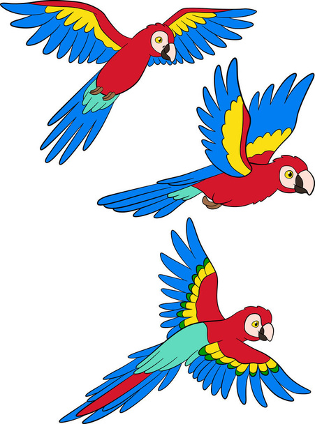 Cartoon birds. Three happy parrots red macaw fly and smile. - Vector, Imagen
