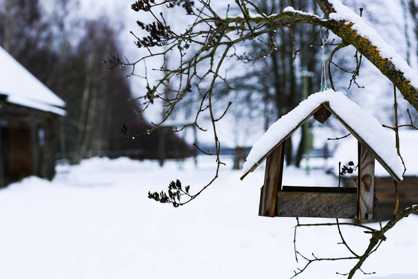 Wooden bird feeder on a tree. Winter Russian landscape. Abandoned village covered in snow. Wooden log houses. The concept of caring for nature and birds. - Foto, Bild