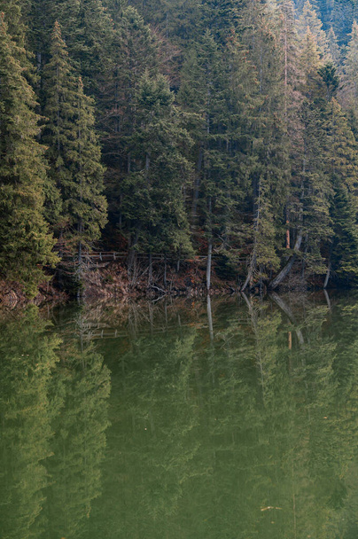Lake and clear water, reflection of the sky and trees in the water, lake and evergreen forest around. - Photo, Image