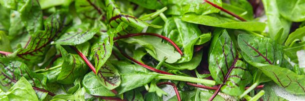 緑のサラダの葉ミックスマイクログリーンジューシーなスナック準備ができてテーブルの上に食べる健康的な食事屋外のトップビューコピースペース食品の背景  - 写真・画像