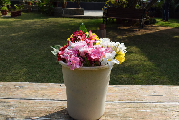 Multicolor Flowers different types of colours and flowers in water bucket. White frangipani, oleanders, kaner, champa at florist - Photo, Image