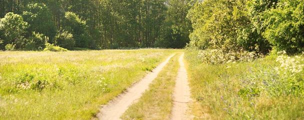 A footpath through the green country field to the forest. Clear summer day. Ruhnu Island, Estonia - Foto, immagini