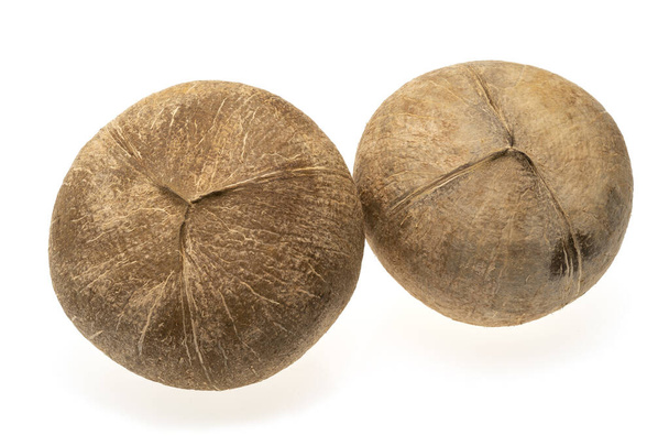 coconuts on bright litter on white background - Foto, afbeelding