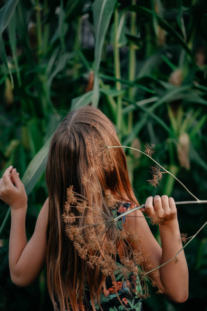 Portrait of a cute little girl with brown long hair posing outdoors with a dried branch in her hands. A child holds a wind-dried dill in his hand. Farm food, greens, herbs. - Фото, изображение