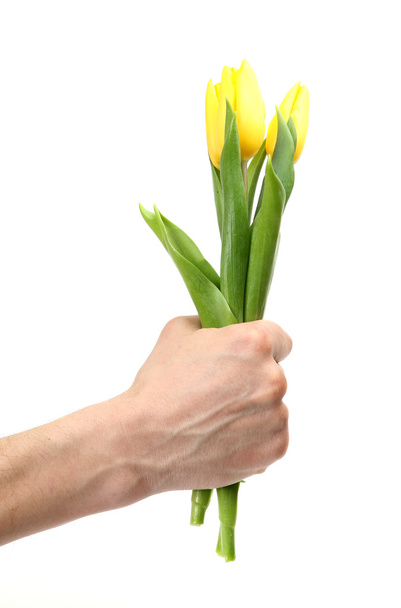 Bouquet of tulips - Zdjęcie, obraz