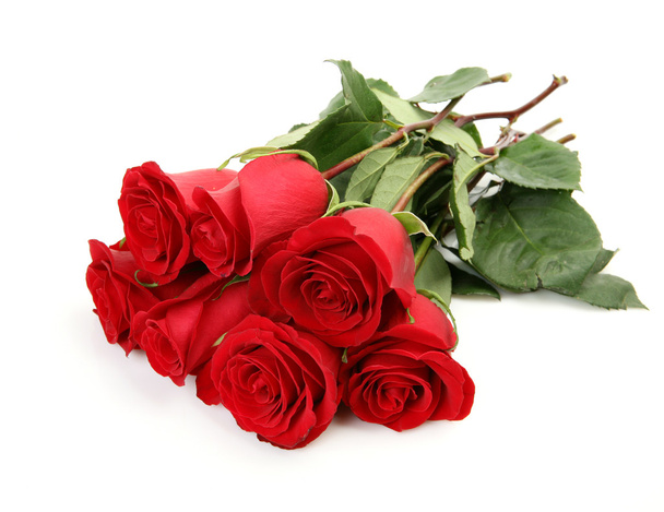 Bouquet of fine roses - Foto, Bild