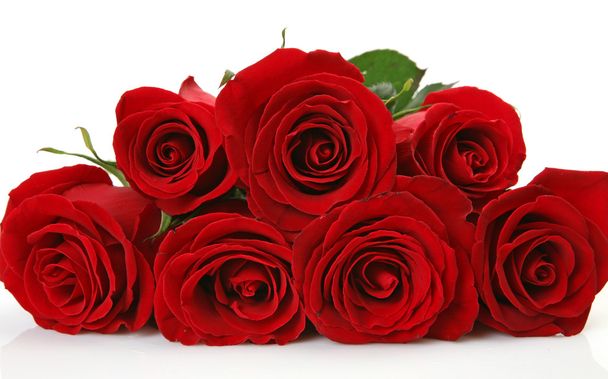 Bouquet of roses - Фото, изображение