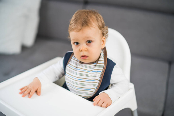Portrait of cute baby boy sitting in a high chair. - Photo, image