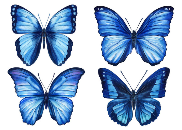 Aquarel kleurrijke vlinders geïsoleerd op witte achtergrond. Voorjaar blauwe vlinder illustratie. - Foto, afbeelding