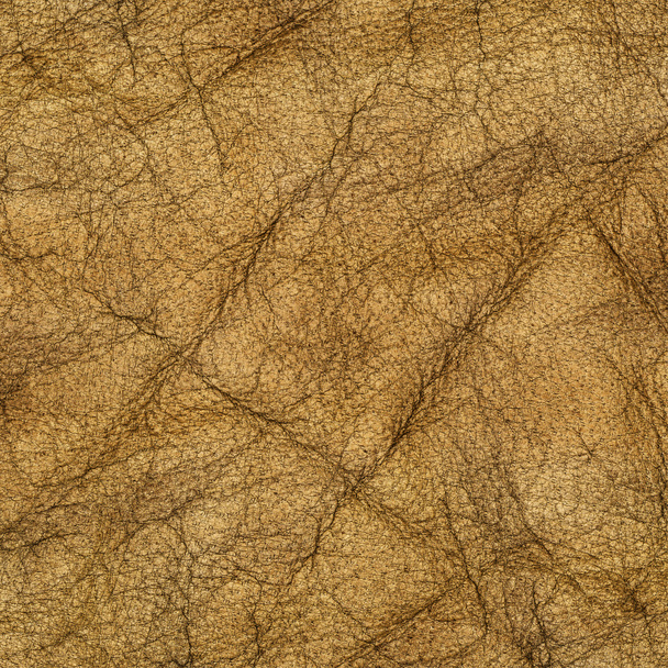 Brown wrinkled leather texture - Photo, Image