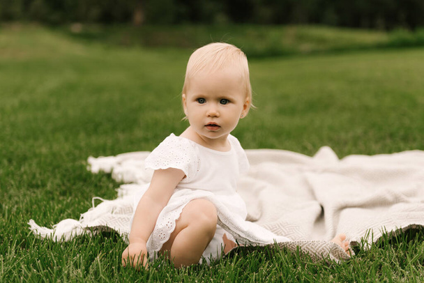 Portrait of a beautiful little happy girl in nature, picnic, family - Foto, immagini