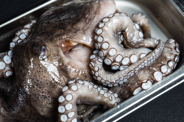 A polip nyers, kész a főzésre. Kreatív koncepció az egészséges élelmiszer fotók finom tengeri ételek polip. Közelkép egy friss nyers polipról. tengeri csemege. - Fotó, kép