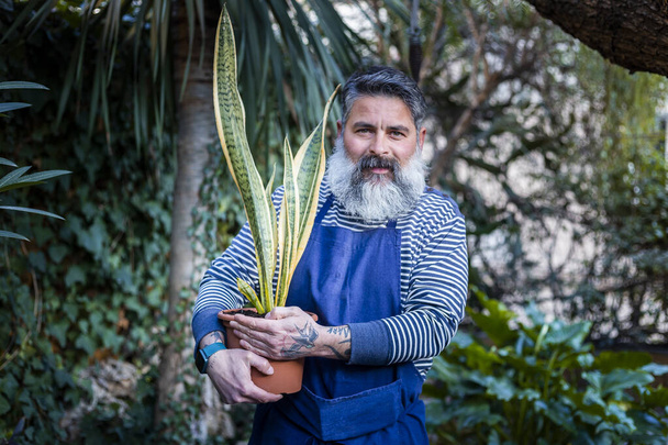 Бородатый мужчина ухаживает за своими растениями в саду дома - Фото, изображение