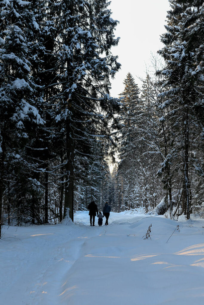 family walk in winter forest - Foto, afbeelding