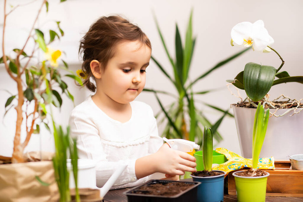 Home gardening. Little kid girl helping to care for home plants, green environment at home - Foto, imagen