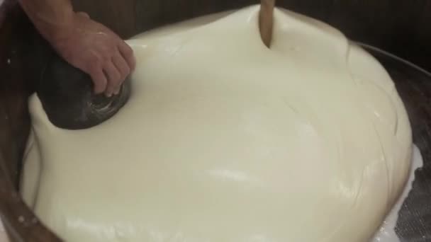 Local traditional production cheese dairy produce. Handmade process production mozzarella cheese making manually cheese factory dairy food traditional mozzarella craft making local food manufacturing - Footage, Video