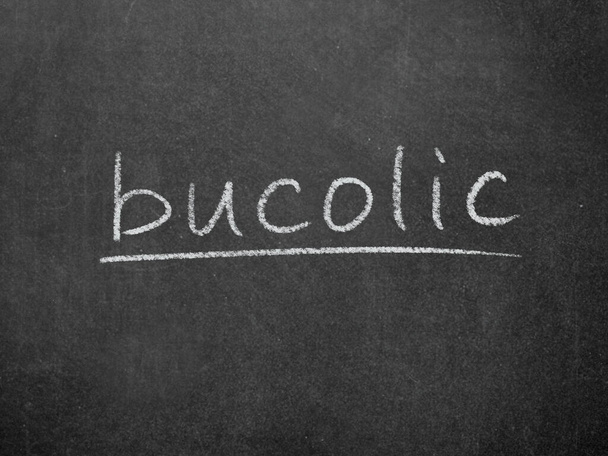 bucolic concept word on blackboard background - Foto, Imagen