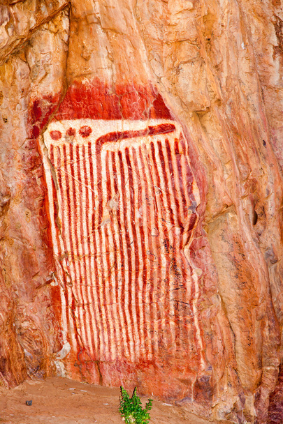 Disegno del bruco aborigeno
 - Foto, immagini